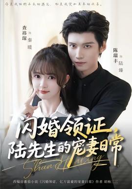 闪婚领证，陆先生的宠妻日常海报