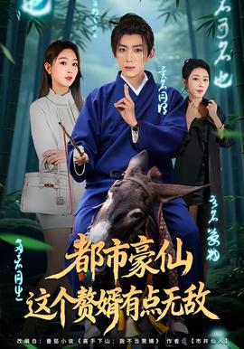 都市豪仙，这个赘婿有点无敌海报