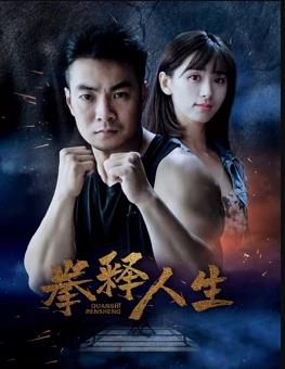 拳释人生海报