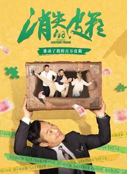 消失的皮箱海报