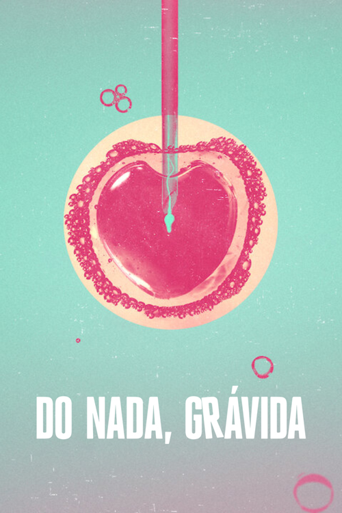 糊涂好孕姐第一季海报