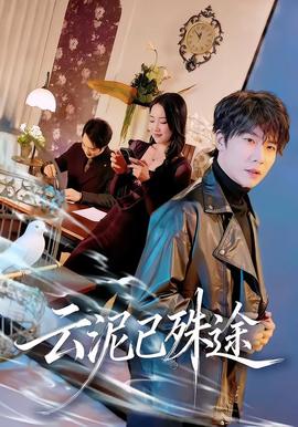 云泥已殊途海报