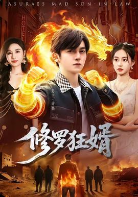修罗狂婿海报