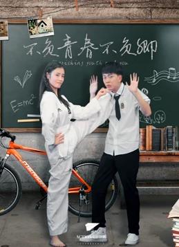 不负青春不负卿海报