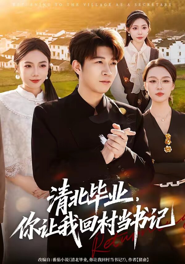 清北毕业，你让我回村当书记海报