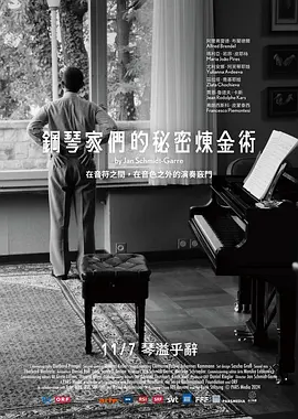 钢琴家们的秘密炼金术海报