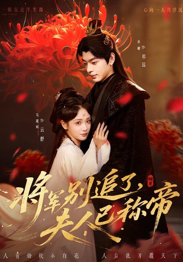 将军别追了，夫人已称帝海报