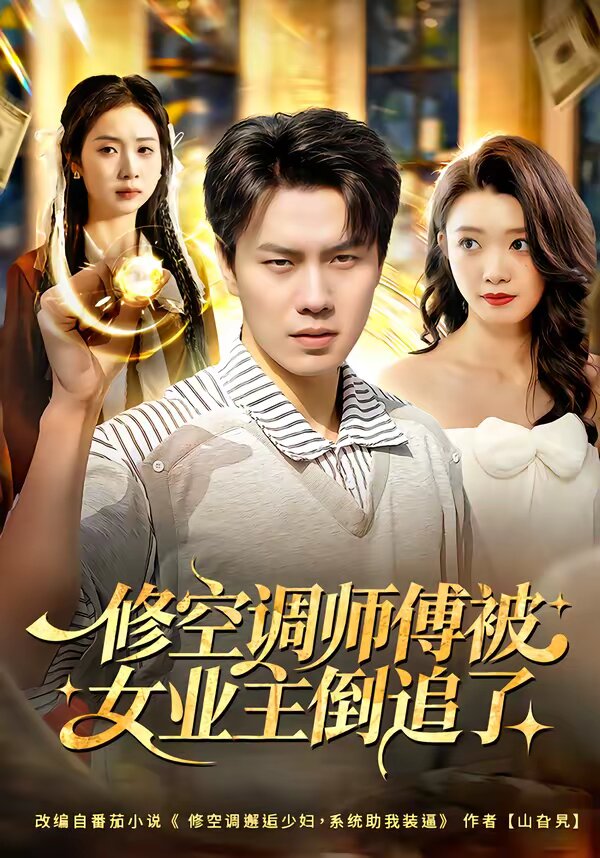 修空调师傅被女业主倒追了海报