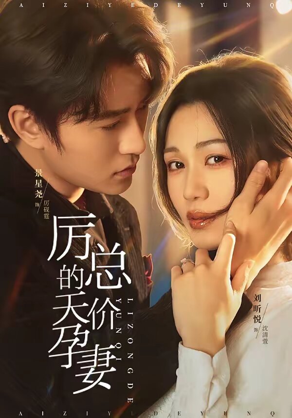 厉总的天价孕妻海报