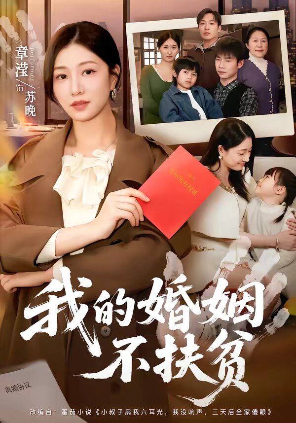 我的婚姻不扶贫海报