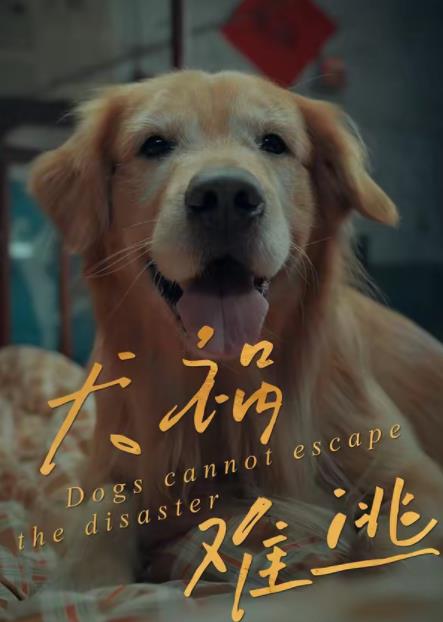 犬祸难逃海报