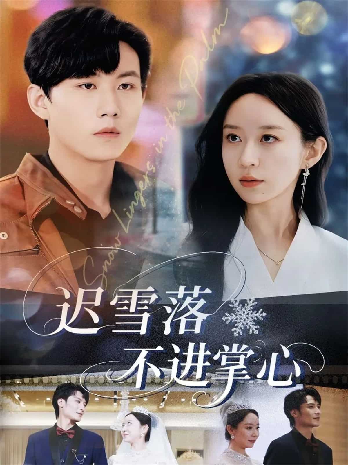 迟雪落不进掌心海报