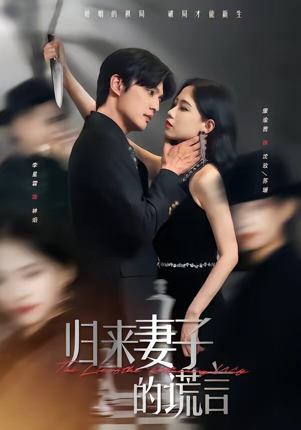 归来妻子的谎言海报