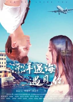 漂洋过海遇见你海报