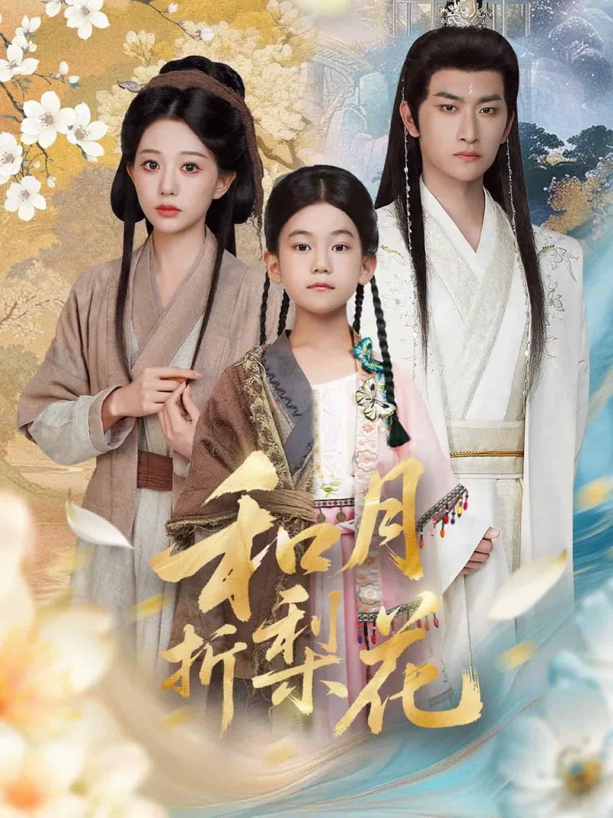 和月折梨花海报