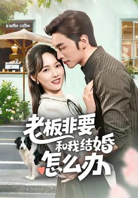 老板非要和我结婚怎么办海报