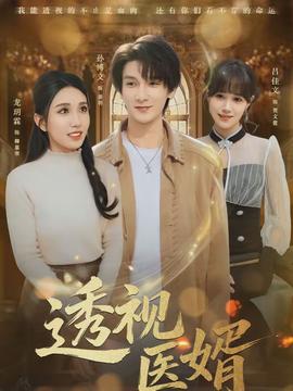 透视医婿海报