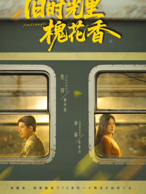 旧时光里槐花香海报