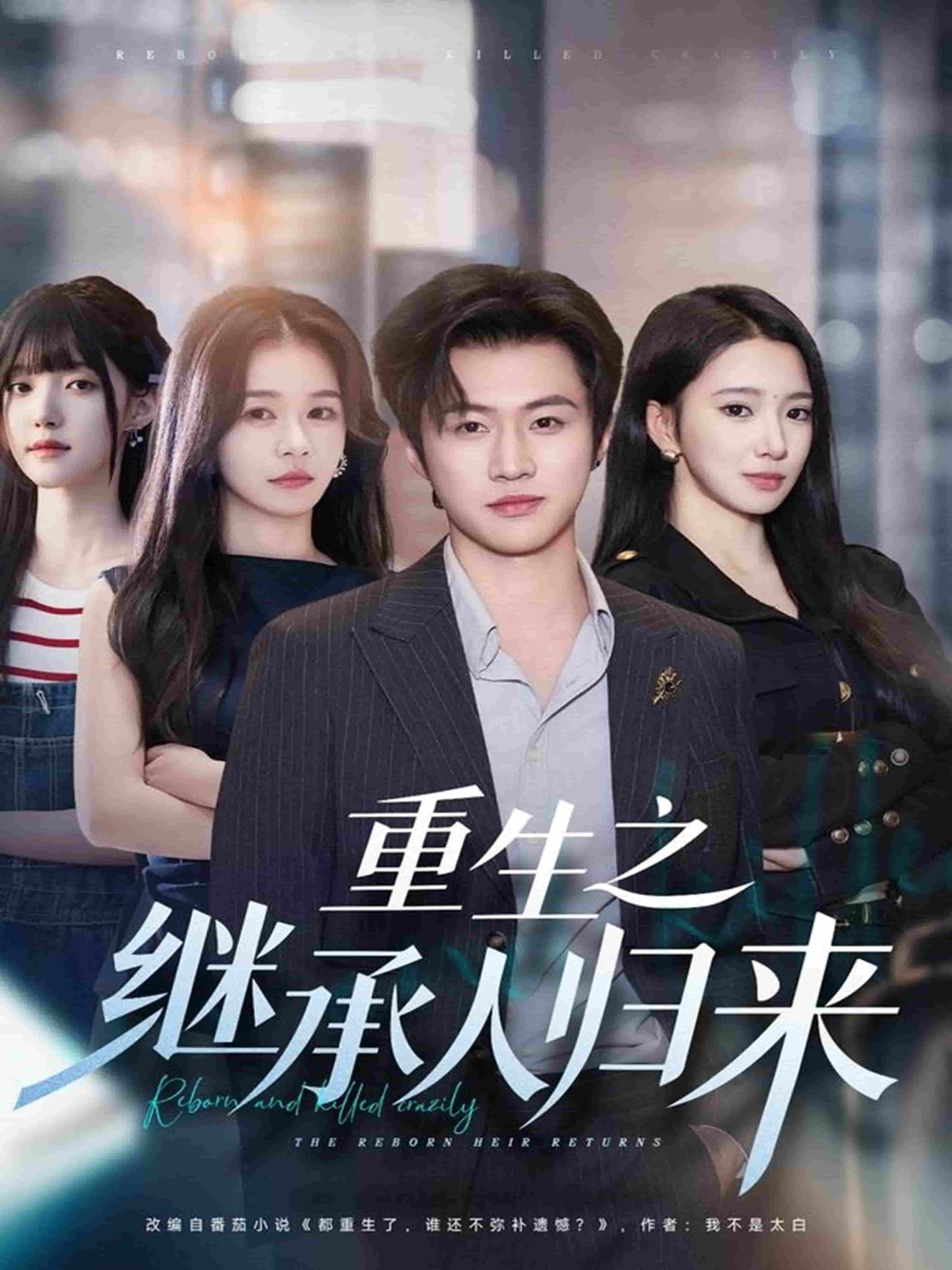 重生之继承人归来海报
