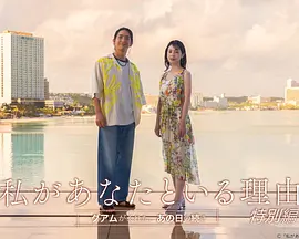 我与你在一起的理由 特别篇海报