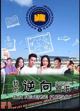 我的逆向追求海报