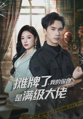 摊牌了，我的保镖是满级大佬海报