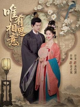 唯有相思意海报