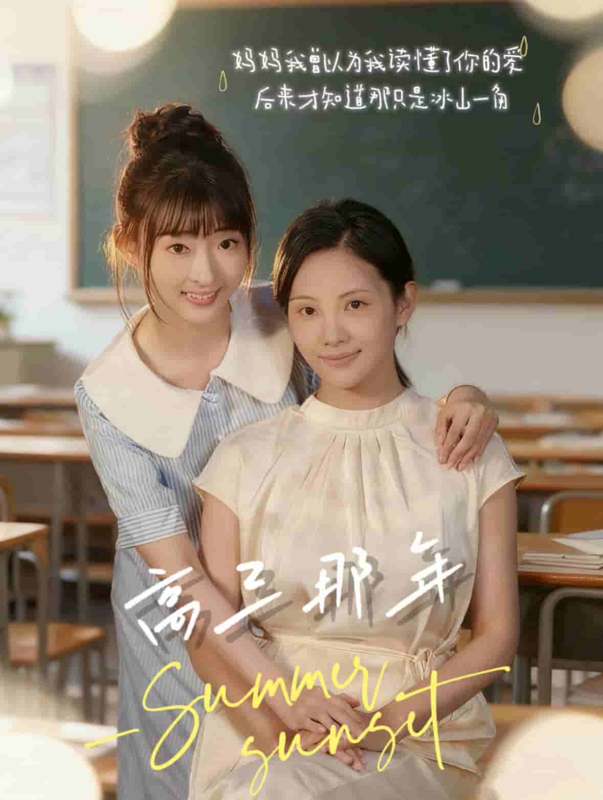 高三那年海报
