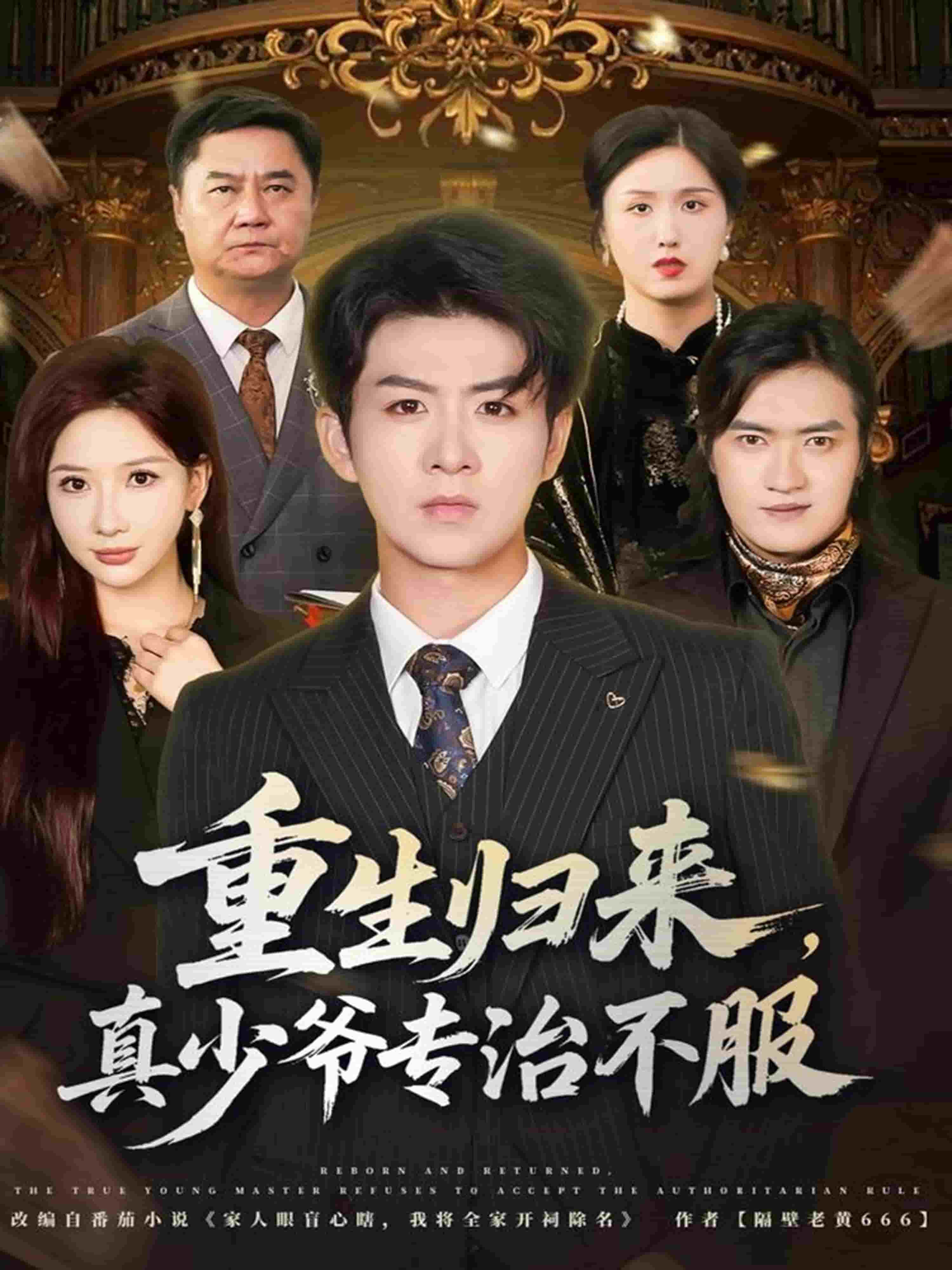 重生归来，真少爷专治不服海报