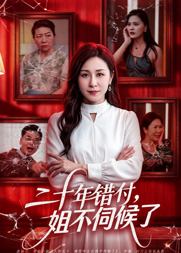 二十年错付，姐不伺候了海报