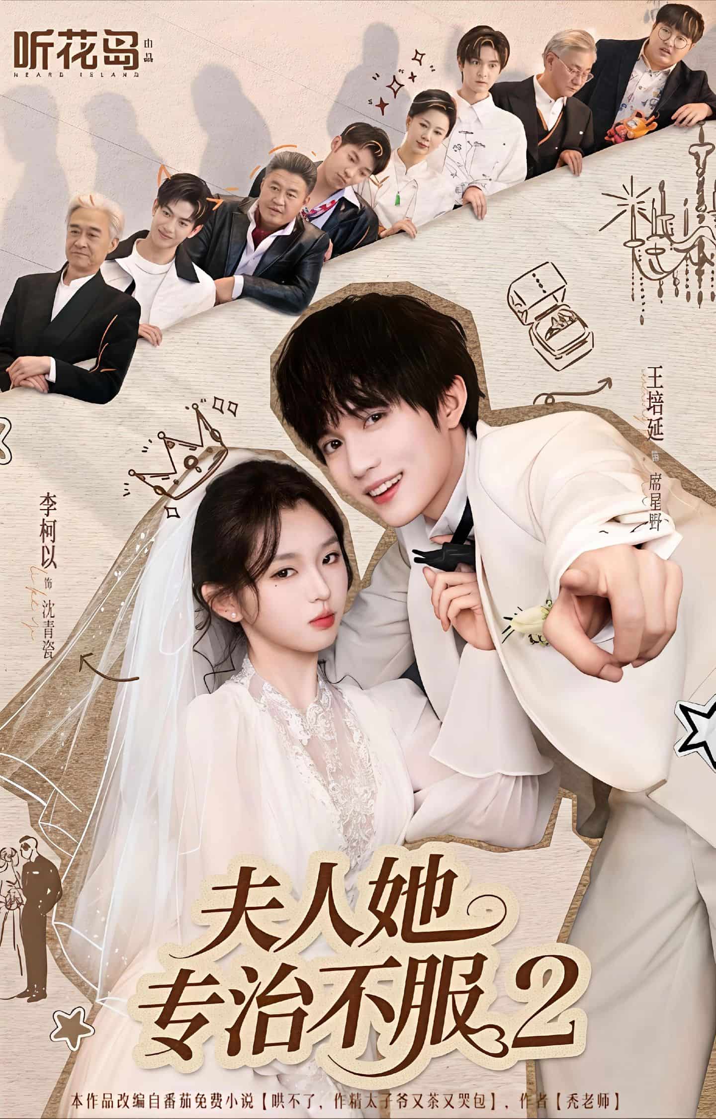 夫人她专治不服2海报