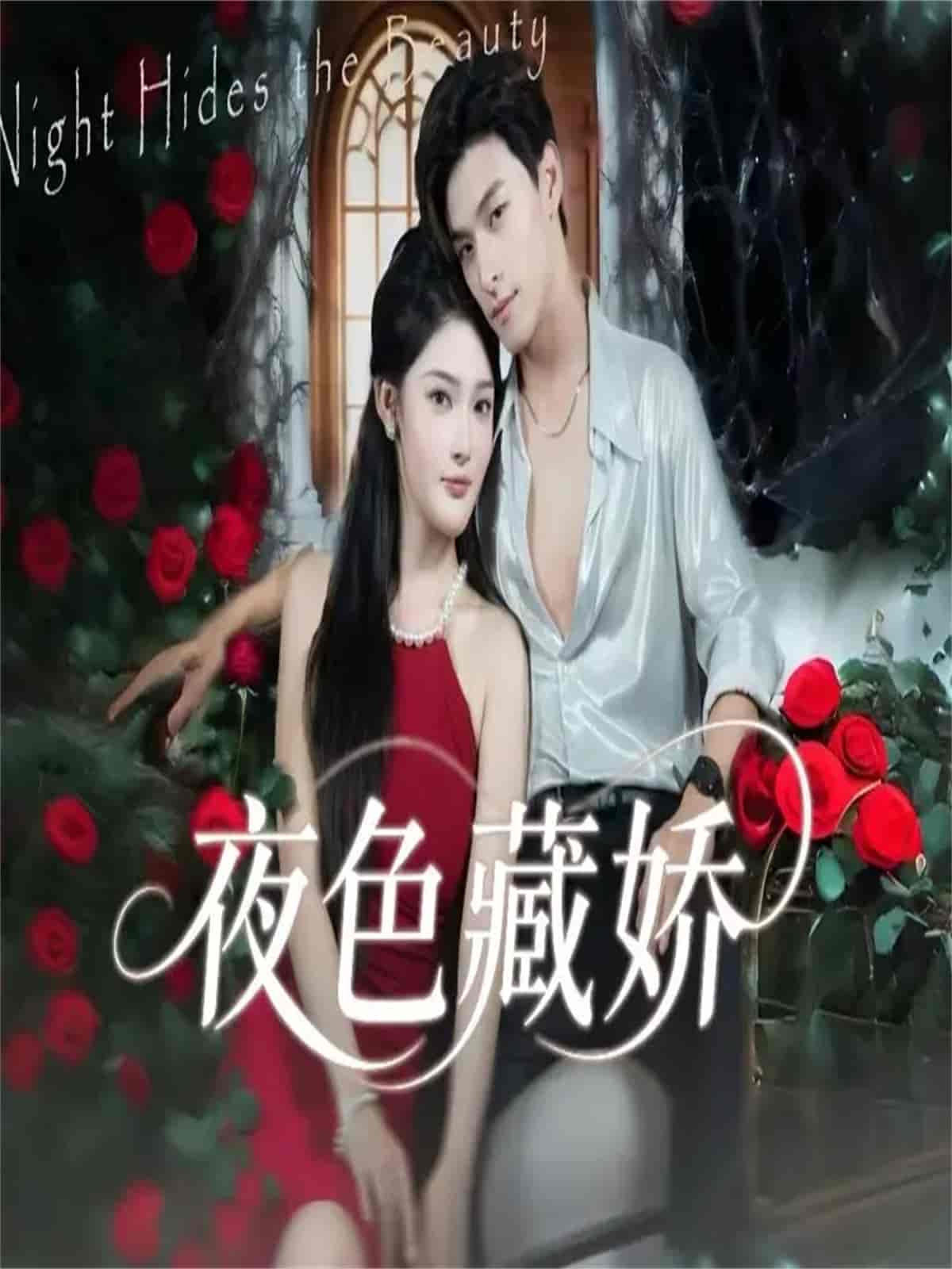 夜色藏娇海报