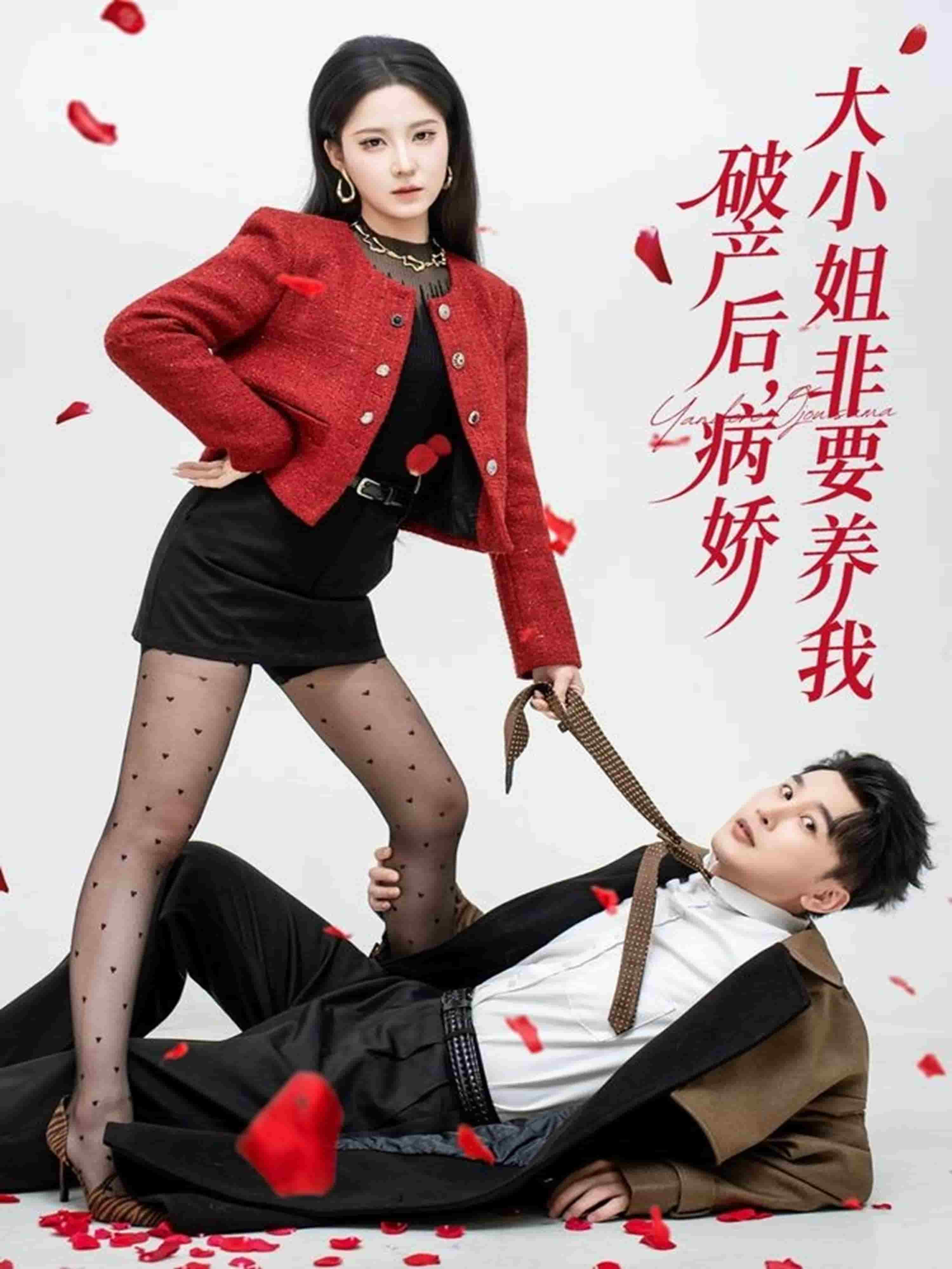 破产后病娇大小姐非要养我海报