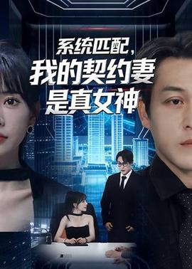 系统匹配，我的契约妻是真女神海报
