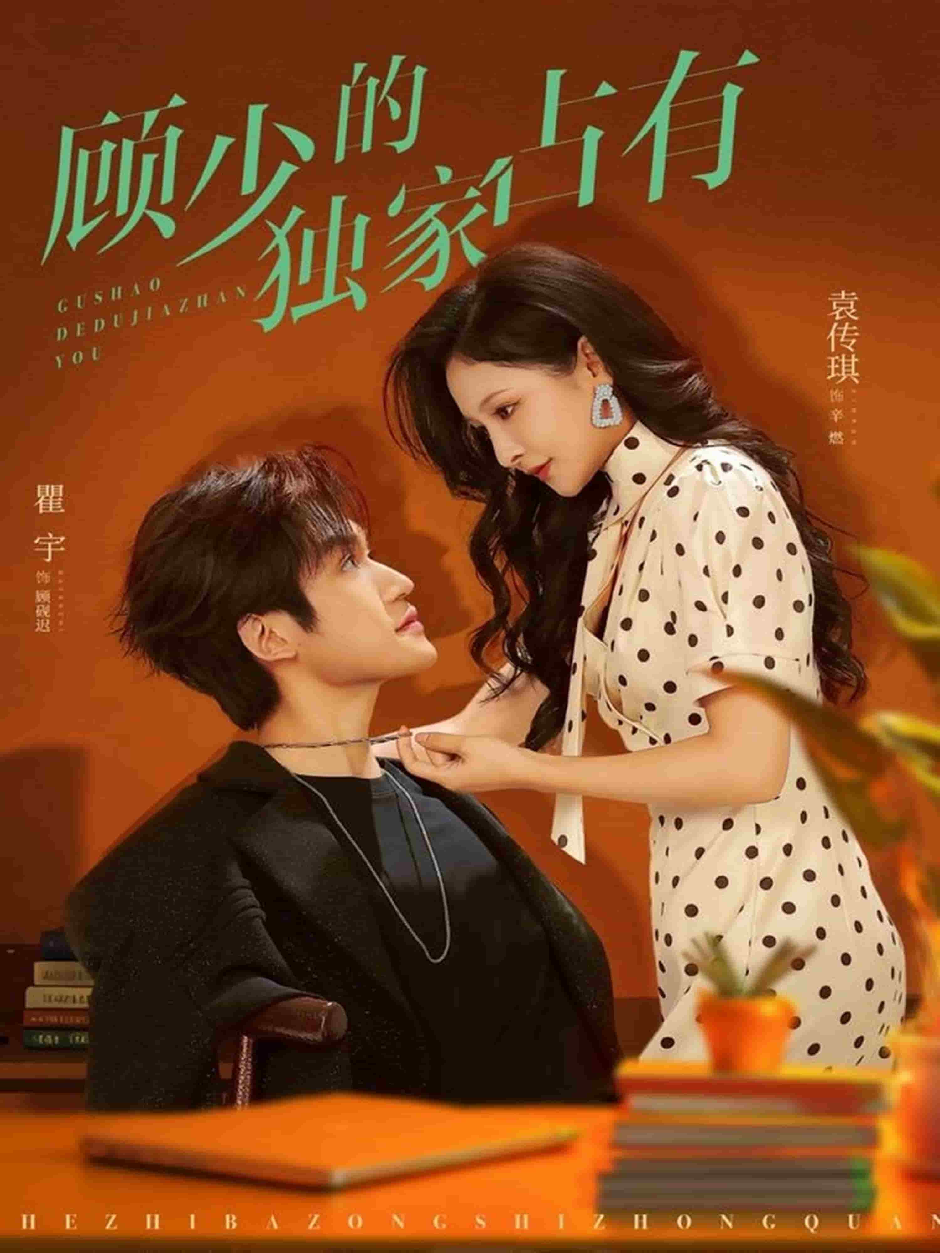 顾少的独家占有海报