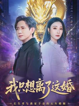 我只想离了这婚海报