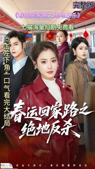 春运回家路之绝地反杀海报