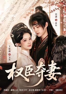 权臣夺妻海报