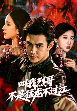 叫我烈哥，不是猛龙不过江海报