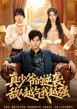 真少爷的逆袭，敌人越气我越强海报