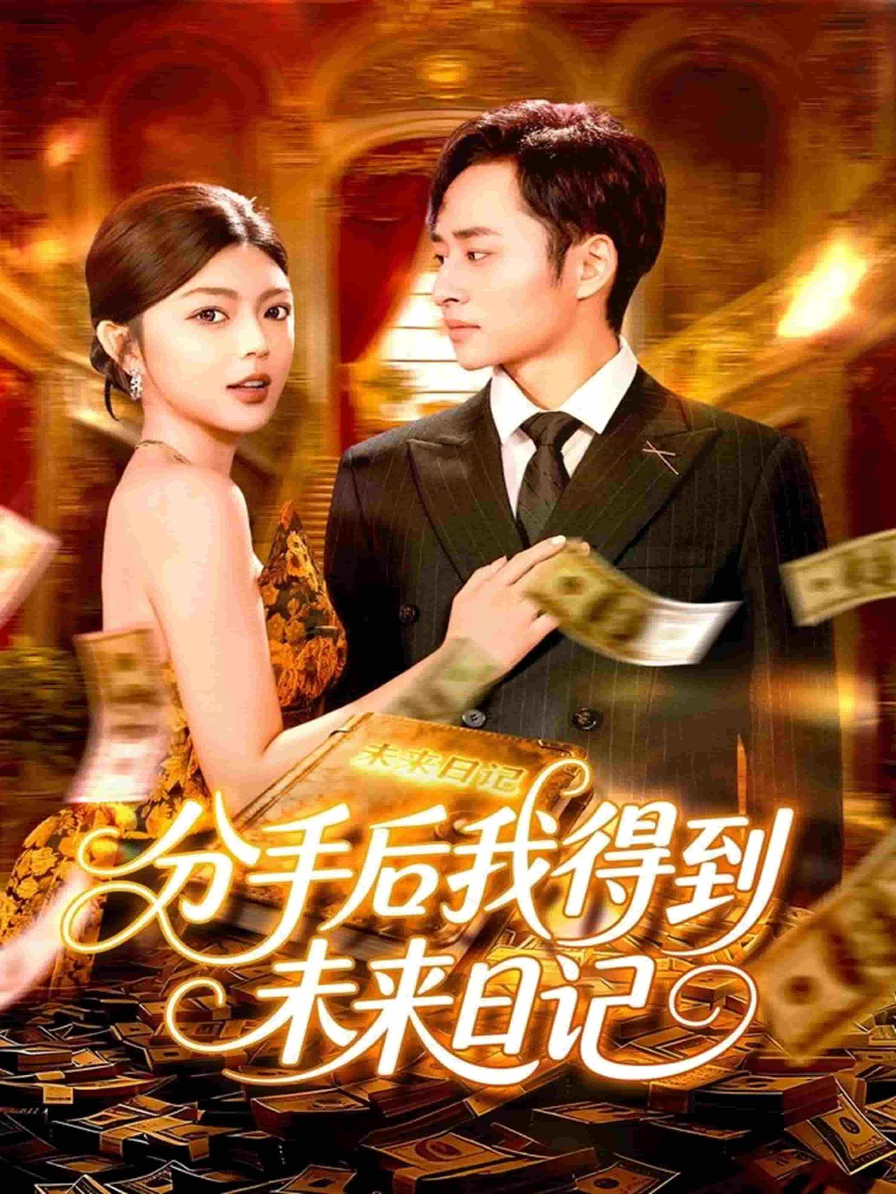 分手后我得到未来日记海报