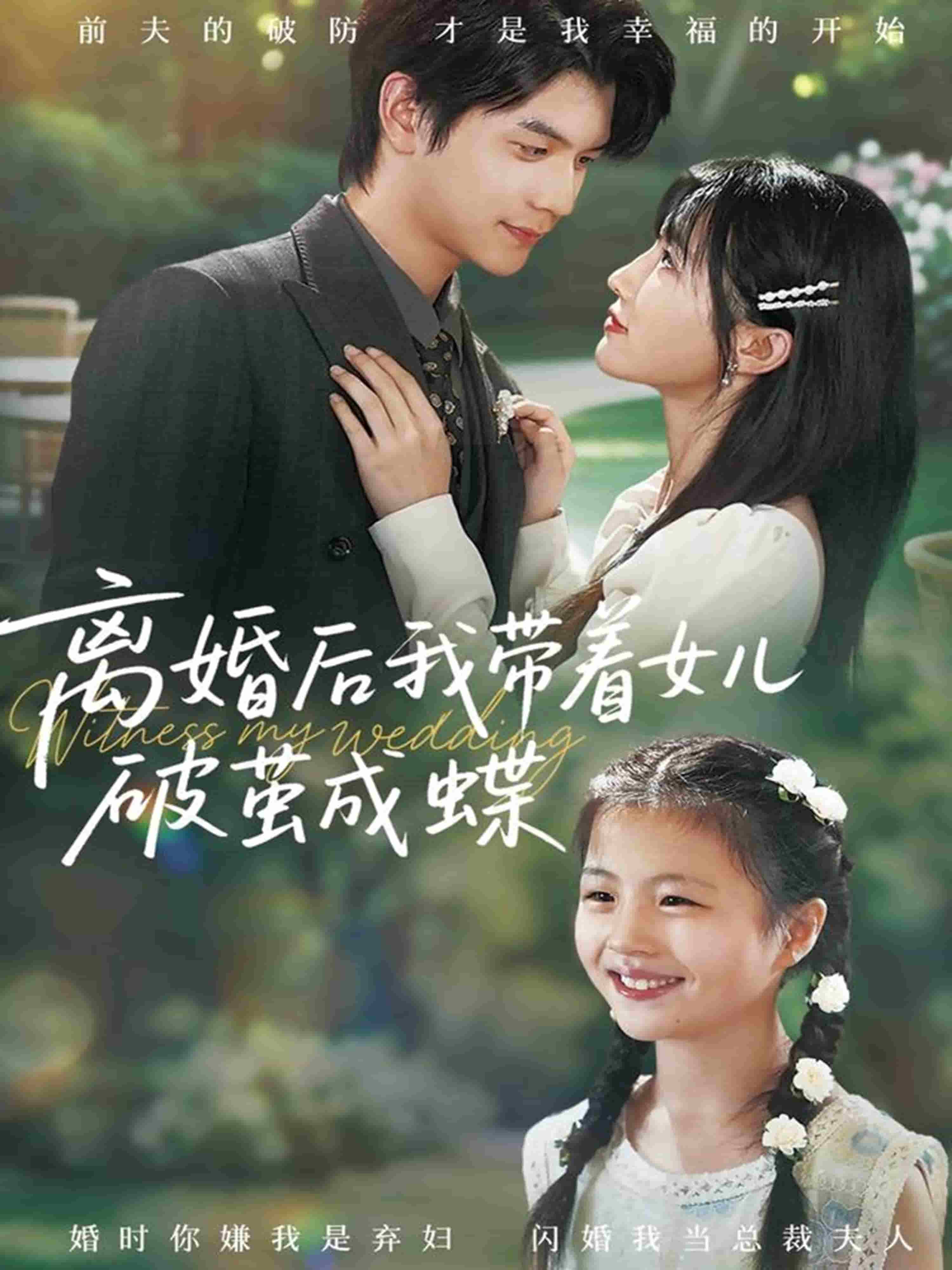 离婚后我带着女儿破茧成蝶海报