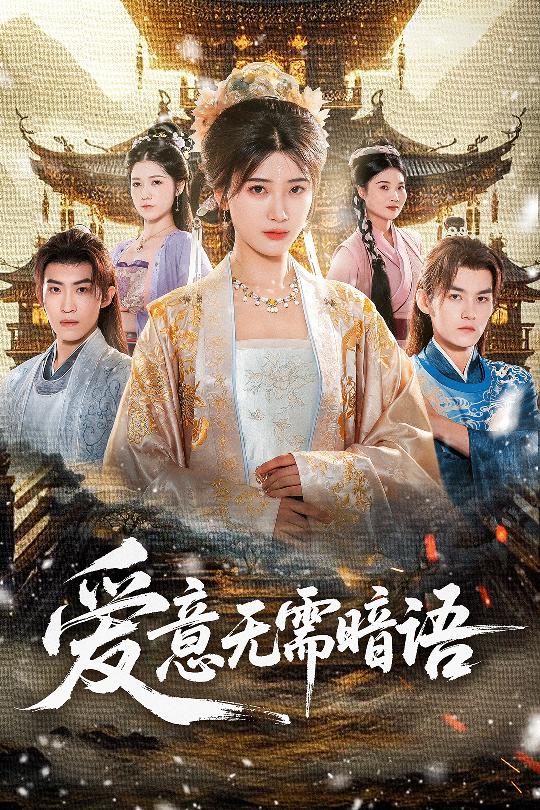 爱意无需暗语海报