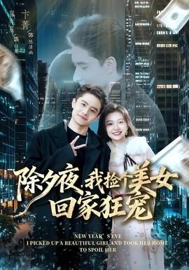 除夕夜，我捡个美女回家狂宠海报