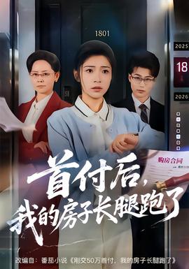 首付后，我的房子长腿跑了海报