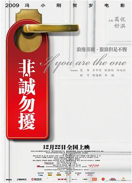 非诚勿扰(2008)海报
