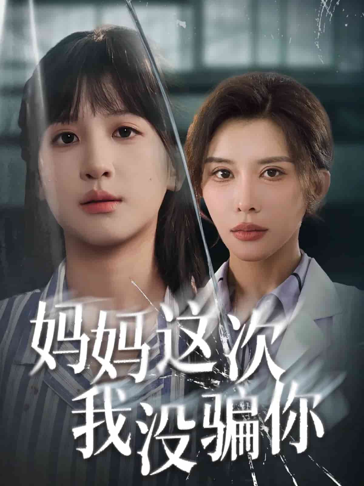 妈妈这次我没骗你海报