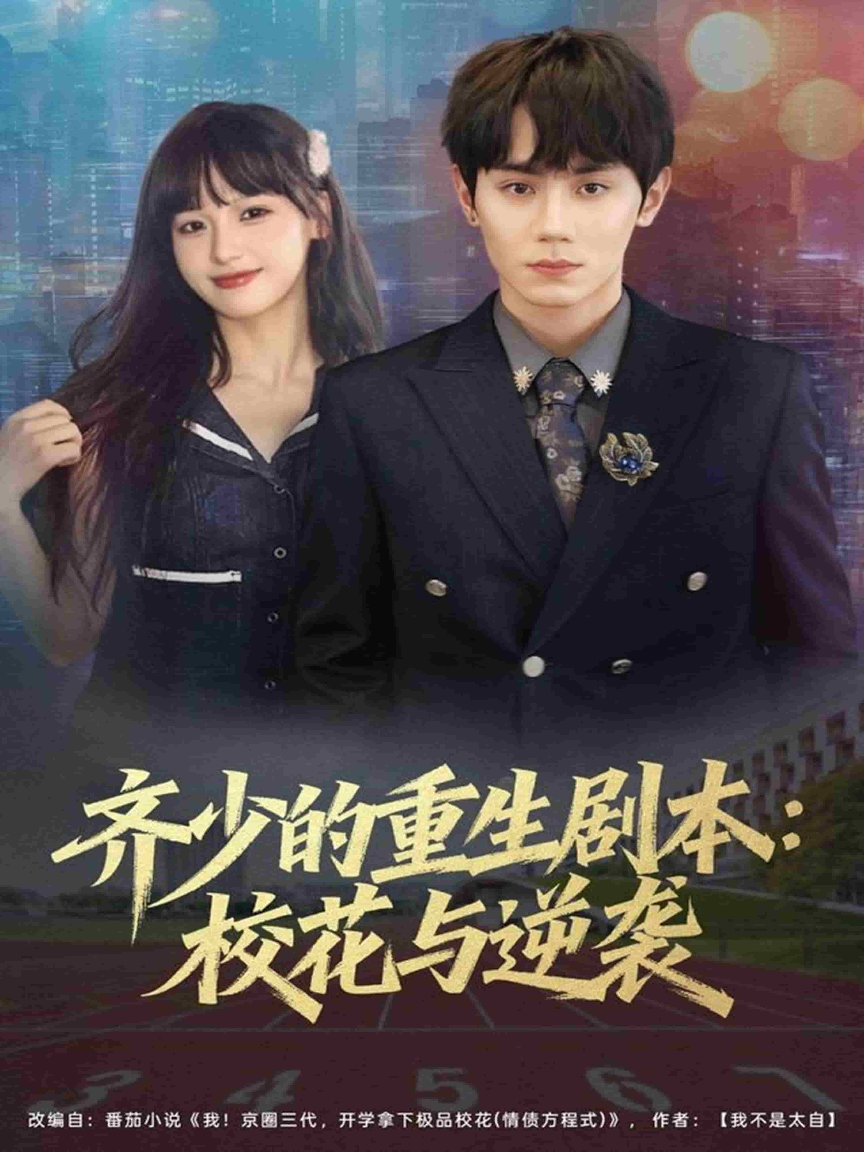 齐少的重生剧本校花与逆袭海报