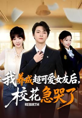 重生不当舔狗，校花崩溃了海报