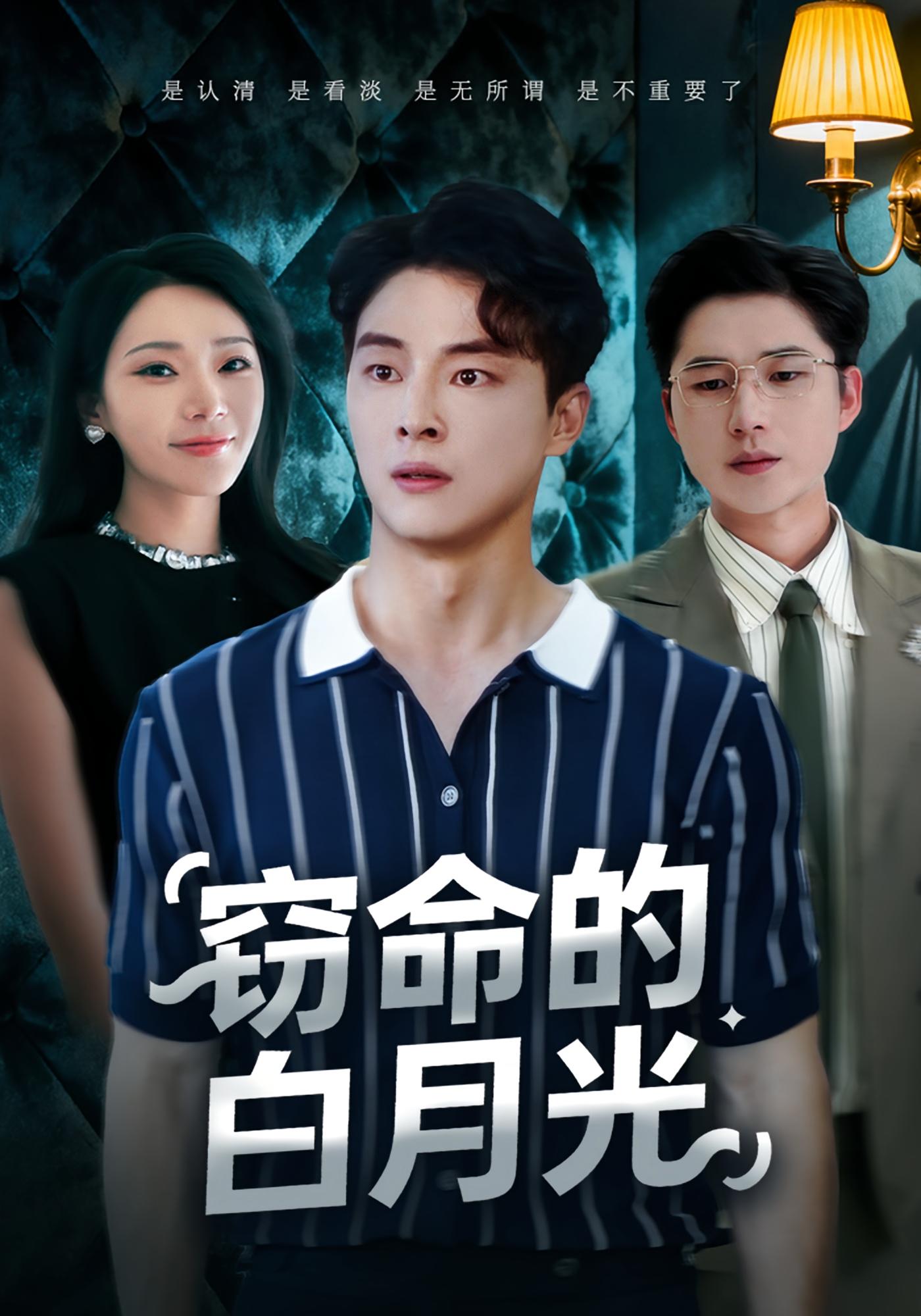 窃命的白月光海报